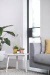 plant light care 11cm glacier grey